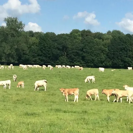 Aux Bois Dores De La Ferme De Sorval, Animaux De La Ferme, Fitness Villa
