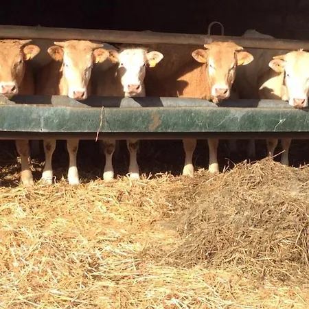 Villa Aux Bois Dores De La Ferme De Sorval, Animaux De La Ferme, Fitness Walincourt-Selvigny