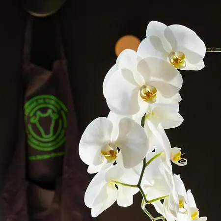 Aux Bois Dores De La Ferme De Sorval, Animaux De La Ferme, Fitness Walincourt-Selvigny