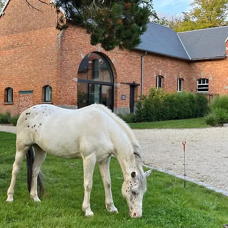 Aux Bois Dores De La Ferme De Sorval, Animaux De La Ferme, Fitness Walincourt-Selvigny