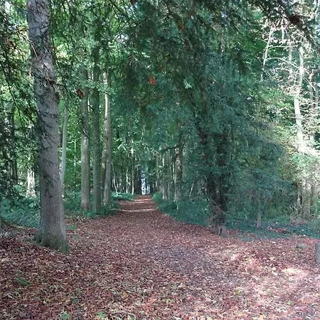 Aux Bois Dores De La Ferme De Sorval, Animaux De La Ferme, Fitness Villa
