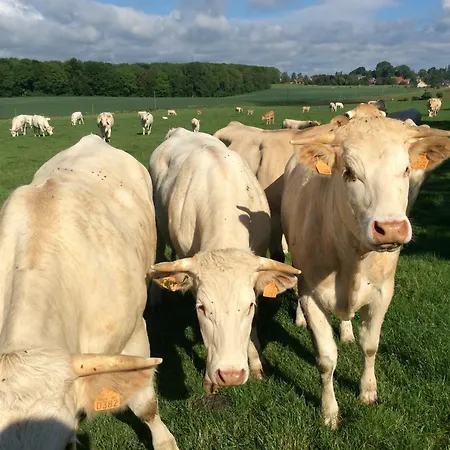 Aux Bois Dores De La Ferme De Sorval, Animaux De La Ferme, Fitness * Walincourt-Selvigny