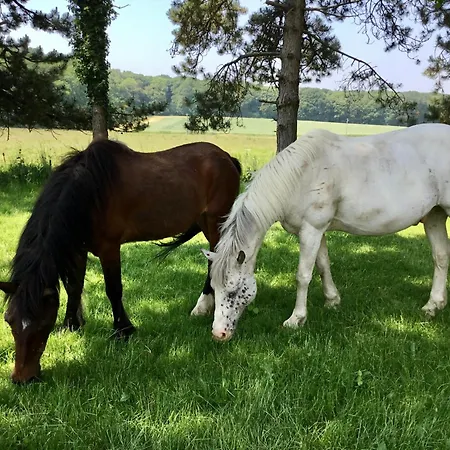 Villa Aux Bois Dores De La Ferme De Sorval, Animaux De La Ferme, Fitness *